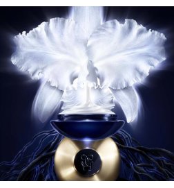 Imperial Orchid - The Light Cream - The Refill Imperial Orchid - The Light Cream - The Refill